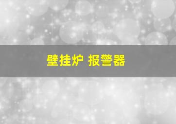 壁挂炉 报警器